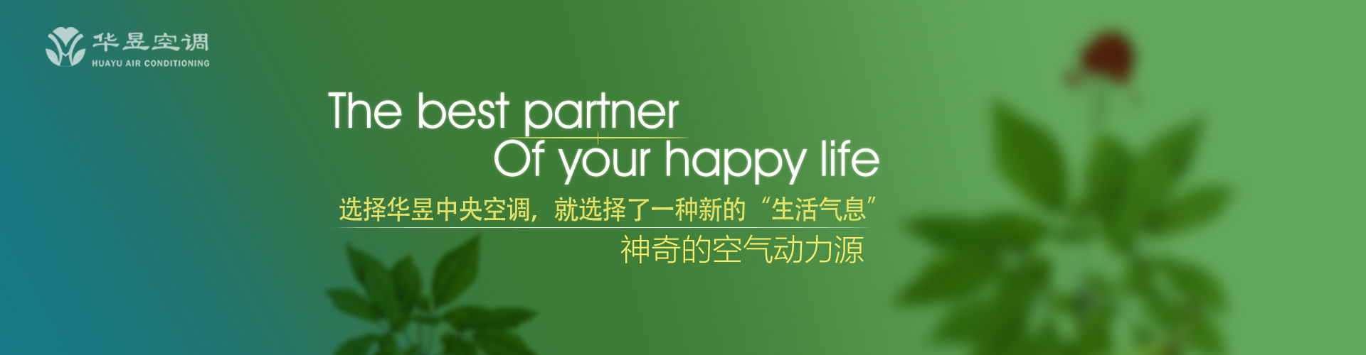 悲从中来网